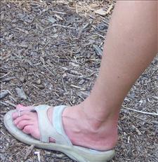 Feet walking at the zoo
