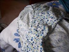 Susan's panties