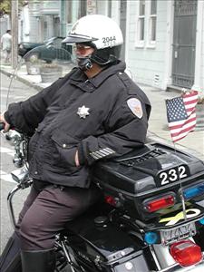 Fat Cop
